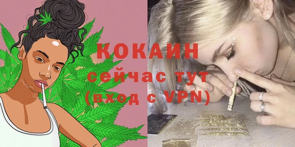 соль ск Михайлов