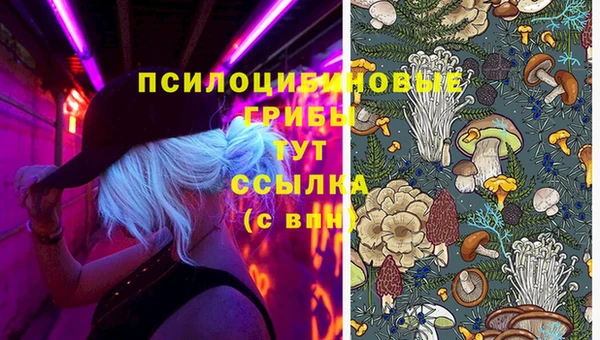 герыч Михайловка