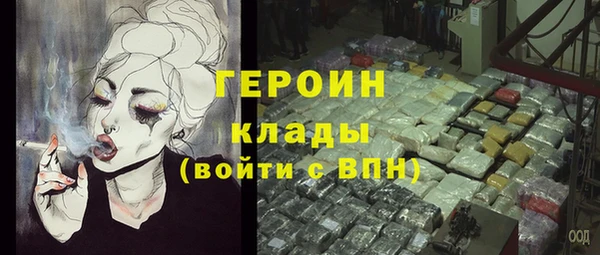 прущие грибы Заполярный
