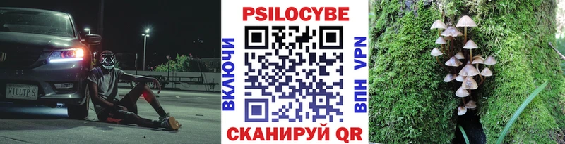 наркошоп  Новокузнецк  mega   Галлюциногенные грибы мицелий 