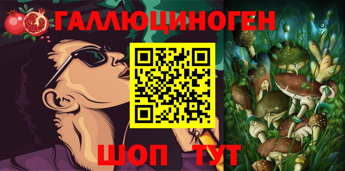 как найти закладки  Новокузнецк  Псилоцибиновые грибы ЛСД 