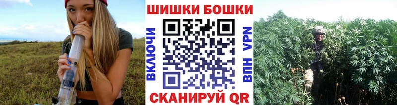 закладка  МЕГА как зайти  Каннабис семена  Новокузнецк 